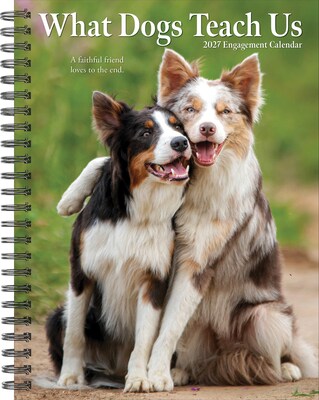 2027 Willow Creek What Dogs Teach Us 6.5 x 8.5 Weekly & Monthly Desk Calendar (64450)