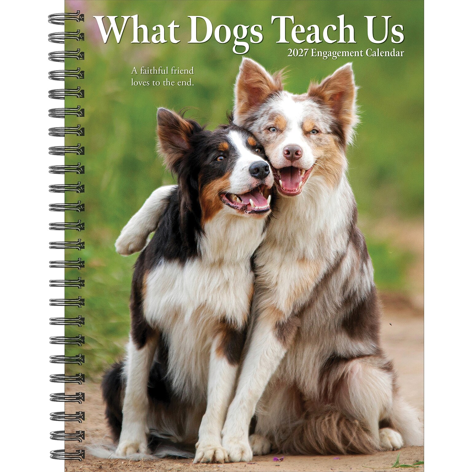 2027 Willow Creek What Dogs Teach Us 6.5 x 8.5 Weekly & Monthly Desk Calendar (64450)