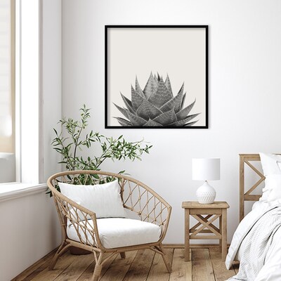 Amanti Art Haze Aloe Succulent by The Creative Bunch Studio Wood Framed Wall Art Print, 33 x 33 (A