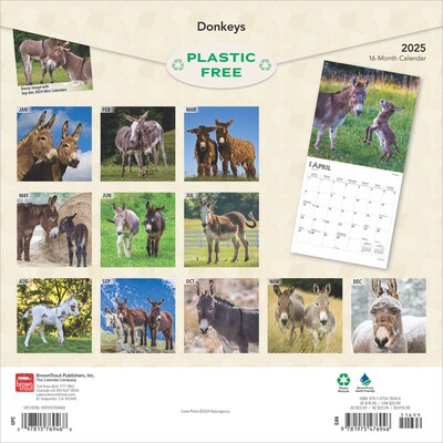 2025 BrownTrout Donkeys 12 x 24 Monthly Square Wall Calendar, (9781975476946)