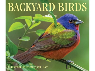 2025 Willow Creek Backyard Birds 5.86" x 4.72" Day-to-Day Calendar (40614)