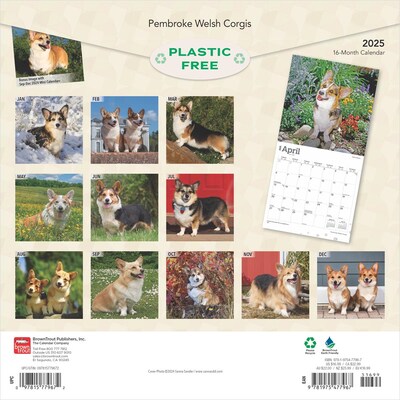 2025 BrownTrout Pembroke Welsh Corgis 12 x 12 Monthly Wall Calendar (9781975477967)