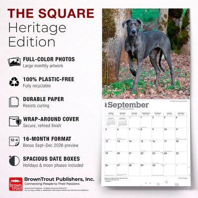 2027 BrownTrout Great Danes 12" x 12" Monthly Wall Calendar (9798330714216)