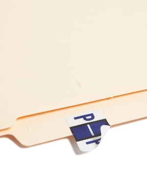 Smead BCCR Labels File Folder Label, P, Violet, 500 Labels/Pack (67086)