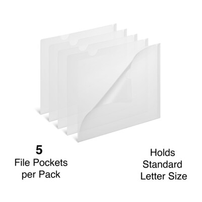 Staples Plastic Document File, 5-Pocket, Letter Size, Clear, 5/Pack (TR11094)