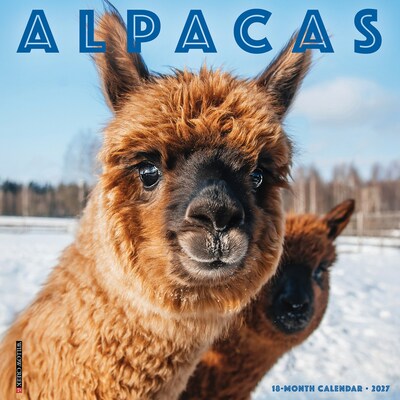 2027 Willow Creek Alpacas 12 x 12 Monthly Wall Calendar, Assorted Colors (58695)
