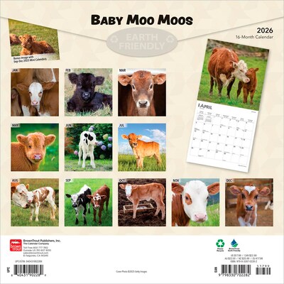 2026 BrownTrout Baby Moo Moos 12 x 12 Monthly Wall Calendar (9798330702282)