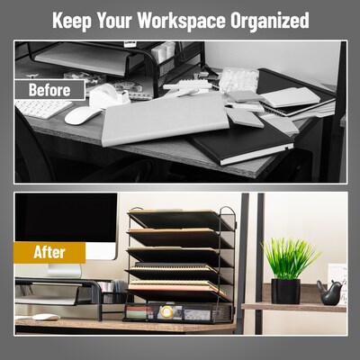 Mind Reader Metal Desk Organizer, Black (VFILEDR-BLK)