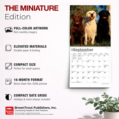 2027 BrownTrout Labrador Retrievers 7" x 7" Monthly Wall Calendar (9798330710034)