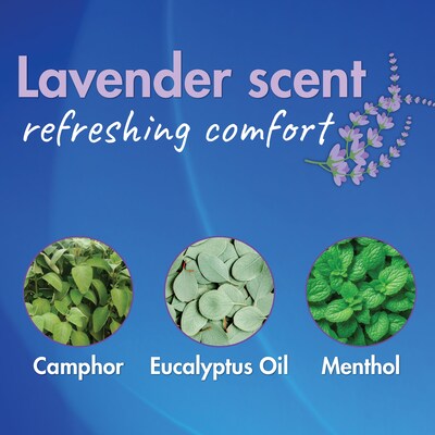 HealthWise Medicated Chest Rub, Lavender Scent (59-254353LM)