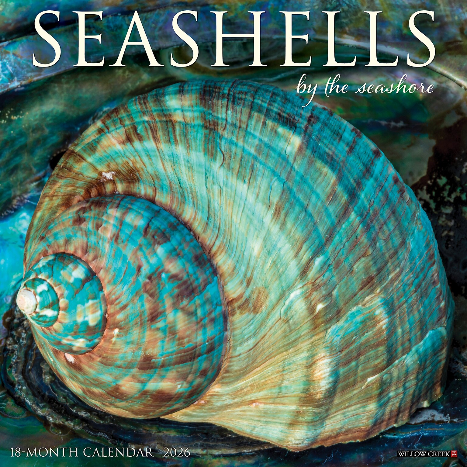2026 Willow Creek Seashells 12 x 12 Monthly Wall Calendar (52709)