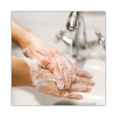 Dial Basics MP Free Liquid Hand Soap Refill for Versa Dispenser, Unscented, 15 oz., 6/Carton (DIA33827)