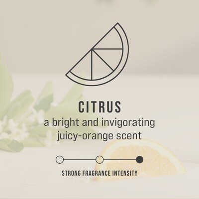 Rubbermaid TCell Passive Air Care Refill, Citrus, 6/Carton (FG402113)