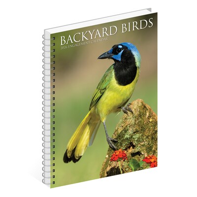 2026 Willow Creek Backyard Birds 6.5" x 8.5" Daily & Monthly Personal Organizer (54574)