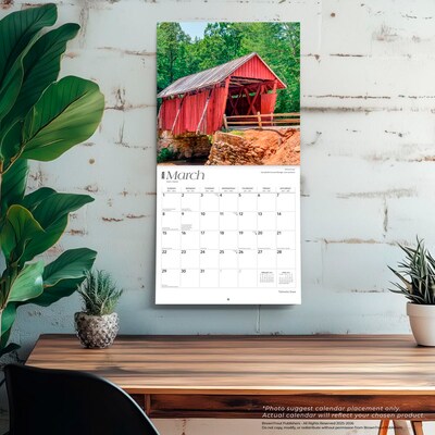 2026 BrownTrout Palmetto State South Carolina Places 12" x 12" Monthly Wall Calendar (9798330705061)