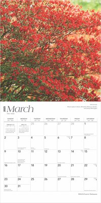2025 BrownTrout Delaware Wild & Scenic 12" x 12" Monthly  Wall Calendar (9781975474775)