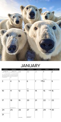 2027 Willow Creek Animal Selfies 12" x 12" Monthly Wall Calendar, Assorted Colors (58800)
