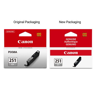 Canon 251 Gray Standard Yield Ink Cartridge  (6517B001)