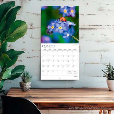 2026 BrownTrout Wildflowers 12" x 12" Monthly Wall Calendar (9798330706365)