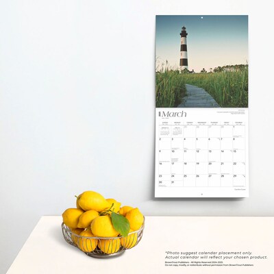 2025 BrownTrout Carolina Coast 12" x 12" Monthly  Wall Calendar (9781975474591)