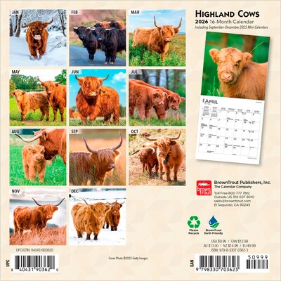 2026 BrownTrout Highland Cows 7 x 7 Monthly Wall Calendar (9798330703623)