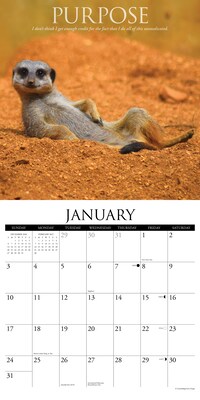 2027 Willow Creek Demotivationals  12" x 12" Monthly Wall Calendar (59999)
