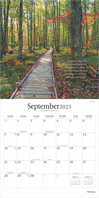 2025 Brush Dance Pathways 12" x 24" Monthly Square Wall Calendar, (9781975478650)