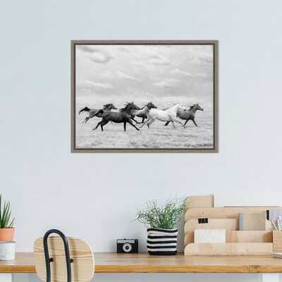Amanti Art Horse Run I by PHBurchett Framed Canvas Wall Art Print, 24 x 18 (A42675322595)