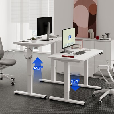 FlexiSpot E2 42''W Electric Adjustable Standing Desk, White (E2W4224W)