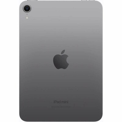 Apple iPad mini (A17 Pro) 8.3 Tablet, Wi-Fi + Cellular, 256GB, Space Gray (MXPT3LL/A)