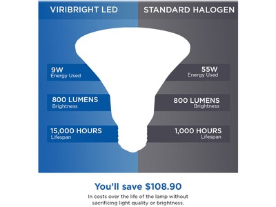 Viribright 9-Watt Daylight LED Floodlight Bulb, 4/Box (754609-4)