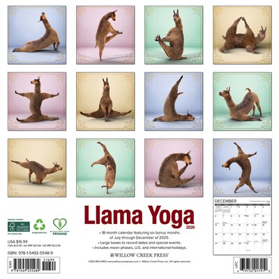 2026 Willow Creek Llama Yoga 12 x 12 Monthly Wall Calendar (55489)