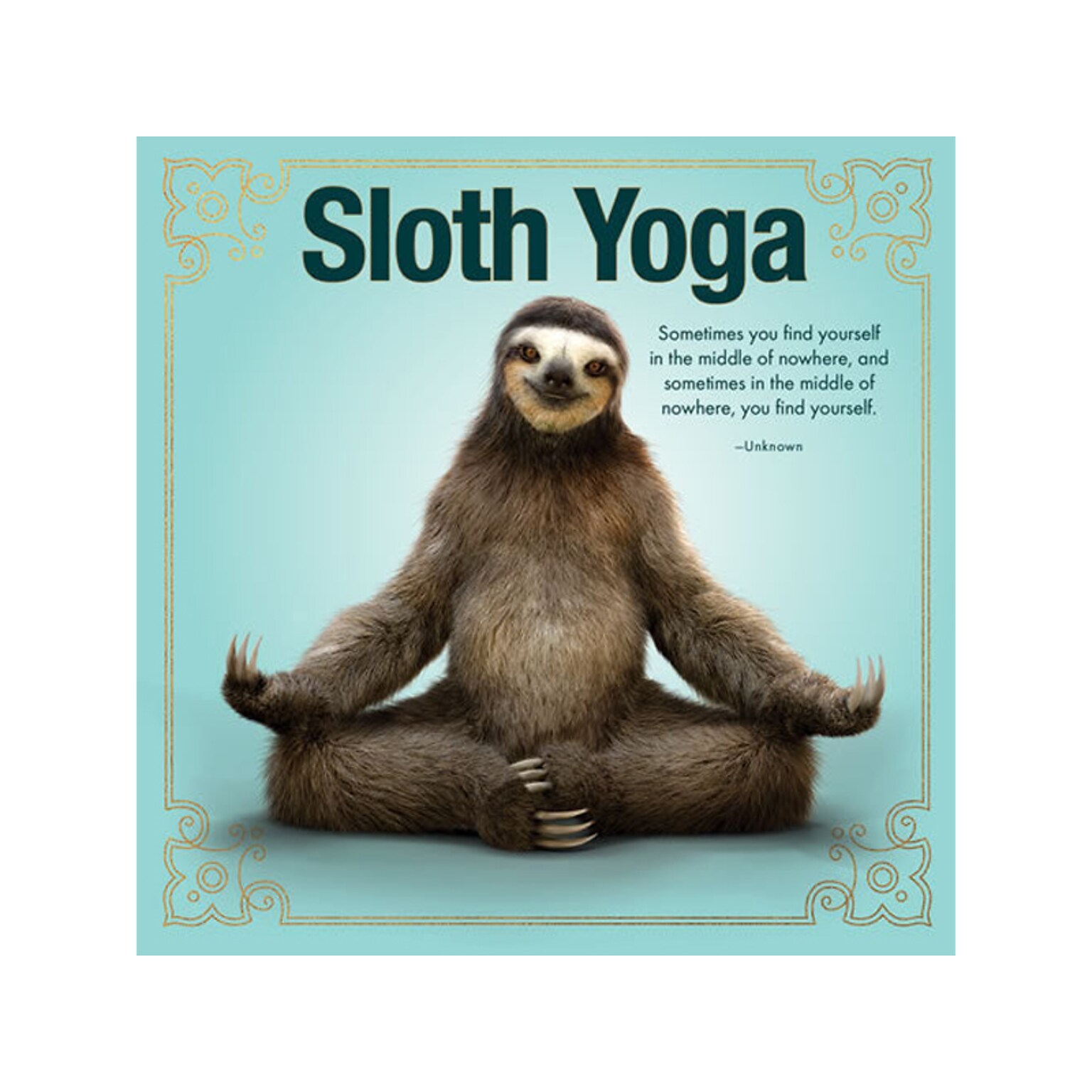 Sloth Yoga, Chapter Book, Hardcover (48314)