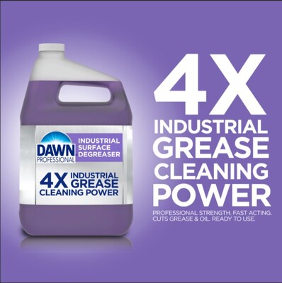 Dawn Professional Industrial Surface Degreaser, 1 Gallon, 2/Carton (02372)