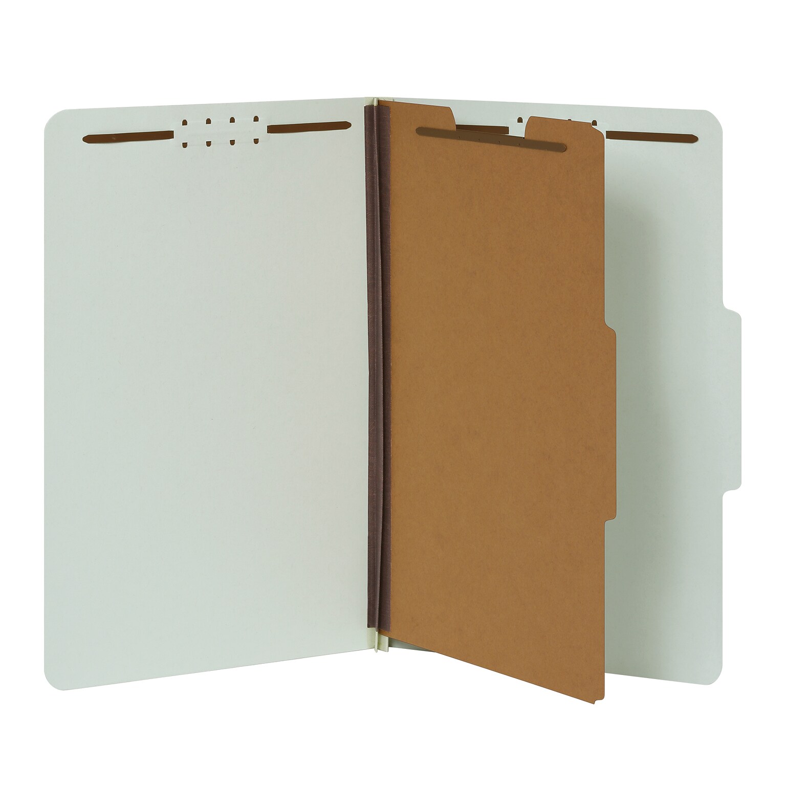 Pendaflex Recycled Classification Folder, 1-Dividers, 2 Expansion, Legal Size, Light Green, 10/Box (17175EE)