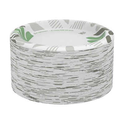 Dixie Ultra Pathways 8.5" Paper Plates, Multicolor, 125/Pack (SXP9PATH)