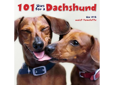 101 Uses For A Dachshund, Chapter Book, Hardcover (30313)