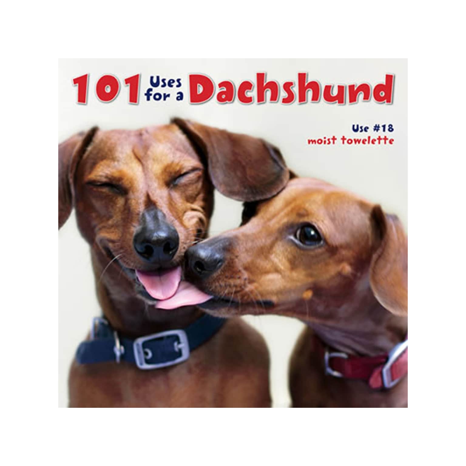 101 Uses For A Dachshund, Chapter Book, Hardcover (30313)