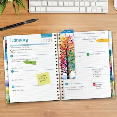 2027 Excello Brands 9 x 11 Weekly & Monthly Standard Planner, Paperboard Cover, Tree Seasons (FSHN-CY27-8511-20)