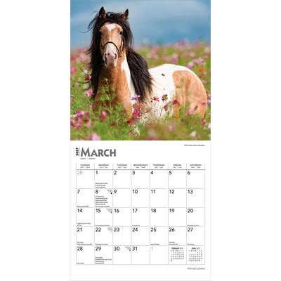 2027 BrownTrout Horse Lovers 7" x 7" Monthly Wall Calendar (9798330709823)