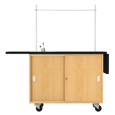Diversified Woodcrafts Mobile Science Laboratory Rectangular Demo Unit, 48" x 24", Black (4121K)