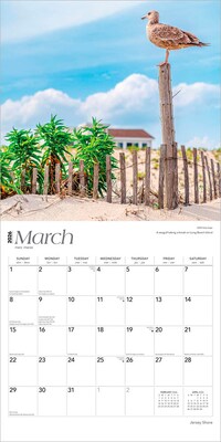 2026 BrownTrout Jersey Shore 12" x 12" Monthly Wall Calendar (9798330704019)