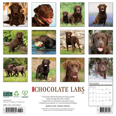 2026 Willow Creek Chocolate Labs 12 x 12 Monthly Wall Calendar (50705)