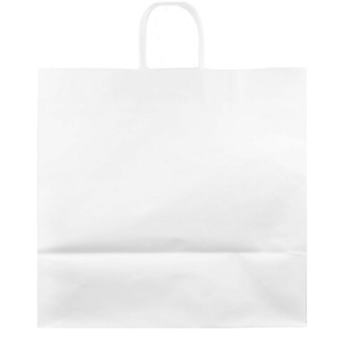 JAM Paper Kraft Gift Bag with Rope Handles, 16" x 16" x 9", White, 24 Bags/Box (5131882B)