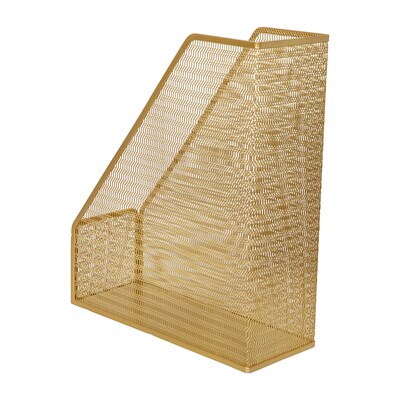 Martha Stewart Ryder Mesh Metal Magazine File Holder, Gold (HHOHD06GLD)