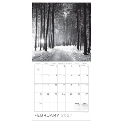 2027 TF Publishing Zen Nature 12" x 12" Monthly Wall Calendar, Multicolored (27-1149)