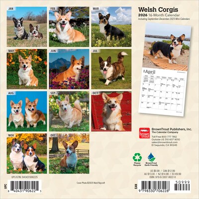 2026 BrownTrout Welsh Corgis 7 x 7 Monthly Wall Calendar (9798330706228)