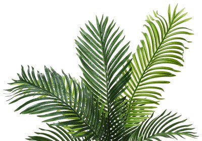 Monarch Specialties Inc. 47" Artificial Palm Tree in Pot (I 9537)