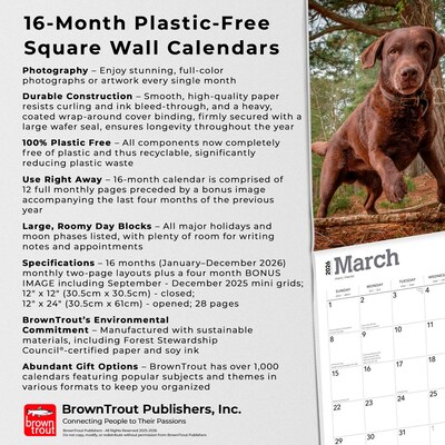 2026 BrownTrout Chocolate Labrador Retrievers 12" x 12" Monthly Wall Calendar (9798330704255)