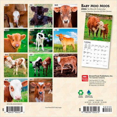 2026 BrownTrout Baby Moo Moos 7 x 7 Monthly Wall Calendar (9798330702275)